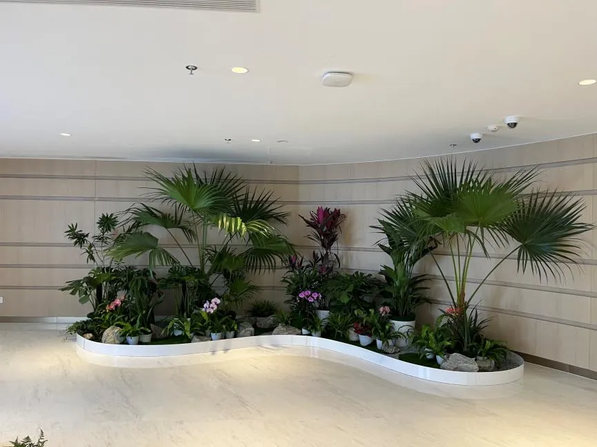 体验宁波镇海绿化修剪，超赞服务别错过！